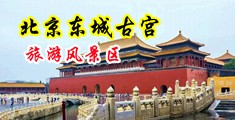 粗长鸡插啊爽视频中国北京-东城古宫旅游风景区